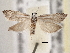  ( - BIOUG09821-A07)  @14 [ ] CreativeCommons - Attribution (2014) CBG Photography Group Centre for Biodiversity Genomics