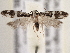  ( - BIOUG09821-F02)  @13 [ ] CreativeCommons - Attribution (2014) CBG Photography Group Centre for Biodiversity Genomics