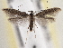  ( - BIOUG09821-H11)  @14 [ ] CreativeCommons - Attribution (2014) CBG Photography Group Centre for Biodiversity Genomics