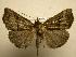  ( - 07-CRBS-895)  @14 [ ] Unspecified (default): All Rights Reserved  Unspecified Unspecified