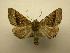  ( - 07-CRBS-979)  @14 [ ] Unspecified (default): All Rights Reserved  Unspecified Unspecified