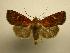  ( - 07-CRBS-1089)  @14 [ ] Unspecified (default): All Rights Reserved  Unspecified Unspecified