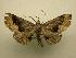  ( - 07-CRBS-1147)  @13 [ ] Unspecified (default): All Rights Reserved  Unspecified Unspecified
