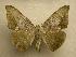  ( - 07-CRBS-1160)  @14 [ ] Unspecified (default): All Rights Reserved  Unspecified Unspecified