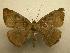  ( - 07-CRBS-1163)  @13 [ ] Unspecified (default): All Rights Reserved  Unspecified Unspecified