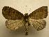  ( - 07-CRBS-1183)  @14 [ ] Unspecified (default): All Rights Reserved  Unspecified Unspecified