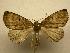  ( - 07-CRBS-1184)  @14 [ ] Unspecified (default): All Rights Reserved  Unspecified Unspecified