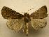  ( - 07-CRBS-1185)  @13 [ ] Unspecified (default): All Rights Reserved  Unspecified Unspecified