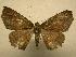  ( - 07-CRBS-1216)  @13 [ ] Unspecified (default): All Rights Reserved  Unspecified Unspecified