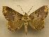 ( - 07-CRBS-1231)  @14 [ ] Unspecified (default): All Rights Reserved  Unspecified Unspecified