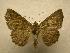  ( - 07-CRBS-1242)  @13 [ ] Unspecified (default): All Rights Reserved  Unspecified Unspecified