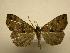  ( - 08-CRBS-122)  @12 [ ] Unspecified (default): All Rights Reserved  Unspecified Unspecified