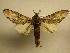  ( - 08-CRBS-130)  @13 [ ] Unspecified (default): All Rights Reserved  Unspecified Unspecified