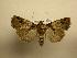  ( - 08-CRBS-135)  @14 [ ] Unspecified (default): All Rights Reserved  Unspecified Unspecified
