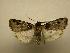  ( - 08-CRBS-143)  @13 [ ] Unspecified (default): All Rights Reserved  Unspecified Unspecified