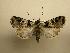  ( - 08-CRBS-145)  @11 [ ] Unspecified (default): All Rights Reserved  Unspecified Unspecified