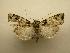  ( - 08-CRBS-147)  @11 [ ] Unspecified (default): All Rights Reserved  Unspecified Unspecified