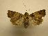  ( - 08-CRBS-151)  @11 [ ] Unspecified (default): All Rights Reserved  Unspecified Unspecified