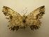  ( - 08-CRBS-168)  @12 [ ] Unspecified (default): All Rights Reserved  Unspecified Unspecified