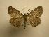  (Isochromodes Sullivan3456 - 08-CRBS-170)  @14 [ ] Unspecified (default): All Rights Reserved  Unspecified Unspecified