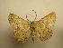 ( - 08-CRBS-175)  @13 [ ] Unspecified (default): All Rights Reserved  Unspecified Unspecified