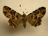  ( - 08-CRBS-183)  @11 [ ] Unspecified (default): All Rights Reserved  Unspecified Unspecified