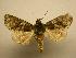  (Heterochroma Sullivan0231 - 08-CRBS-204)  @11 [ ] Unspecified (default): All Rights Reserved  Unspecified Unspecified