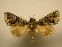  (Heterochroma Sullivan0232 - 08-CRBS-205)  @11 [ ] Unspecified (default): All Rights Reserved  Unspecified Unspecified