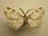 ( - 08-CRBS-224)  @13 [ ] Unspecified (default): All Rights Reserved  Unspecified Unspecified