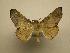  (Cryptochrostis - 08-CRBS-280)  @14 [ ] Unspecified (default): All Rights Reserved  Unspecified Unspecified