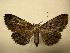  ( - 08-CRBS-301)  @13 [ ] Unspecified (default): All Rights Reserved  Unspecified Unspecified