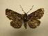  ( - 08-CRBS-302)  @14 [ ] Unspecified (default): All Rights Reserved  Unspecified Unspecified