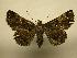  (Metria abscissa - 08-CRBS-303)  @14 [ ] Unspecified (default): All Rights Reserved  Unspecified Unspecified