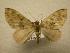  ( - 08-CRBS-310)  @12 [ ] Unspecified (default): All Rights Reserved  Unspecified Unspecified