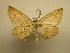  ( - 08-CRBS-332)  @13 [ ] Unspecified (default): All Rights Reserved  Unspecified Unspecified