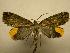  ( - 08-CRBS-350)  @12 [ ] Unspecified (default): All Rights Reserved  Unspecified Unspecified