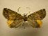  ( - 08-CRBS-352)  @11 [ ] Unspecified (default): All Rights Reserved  Unspecified Unspecified