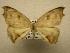  ( - 08-CRBS-370)  @11 [ ] Unspecified (default): All Rights Reserved  Unspecified Unspecified