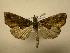  ( - 08-CRBS-430)  @12 [ ] Unspecified (default): All Rights Reserved  Unspecified Unspecified