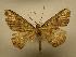 ( - 08-CRBS-443)  @13 [ ] Unspecified (default): All Rights Reserved  Unspecified Unspecified