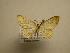  ( - 08-CRBS-471)  @13 [ ] Unspecified (default): All Rights Reserved  Unspecified Unspecified