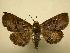  (Antiblemma Sullivan2605 - 08-CRBS-546)  @14 [ ] Unspecified (default): All Rights Reserved  Unspecified Unspecified