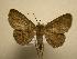  (Antiblemma Sullivan2576 - 08-CRBS-548)  @14 [ ] Unspecified (default): All Rights Reserved  Unspecified Unspecified