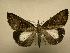  (Hypena Sullivan5936 - 08-CRBS-559)  @13 [ ] Unspecified (default): All Rights Reserved  Unspecified Unspecified