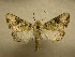  ( - 09-CRBS-437)  @14 [ ] Unspecified (default): All Rights Reserved  Unspecified Unspecified