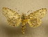  ( - 09-CRBS-441)  @13 [ ] Unspecified (default): All Rights Reserved  Unspecified Unspecified