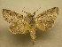  ( - 09-CRBS-451)  @14 [ ] Unspecified (default): All Rights Reserved  Unspecified Unspecified