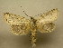  ( - 09-CRBS-458)  @14 [ ] Unspecified (default): All Rights Reserved  Unspecified Unspecified