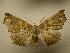  ( - 08-CRBS-572)  @14 [ ] Unspecified (default): All Rights Reserved  Unspecified Unspecified