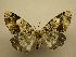  (Cargolia BioLep2453 - 08-CRBS-574)  @14 [ ] Unspecified (default): All Rights Reserved  Unspecified Unspecified